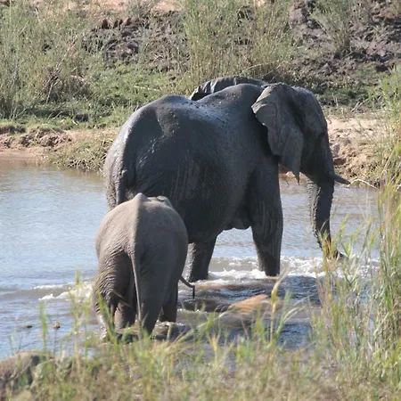 Njiri Lodge - Your Part Of Africa Marloth Park Exterior foto