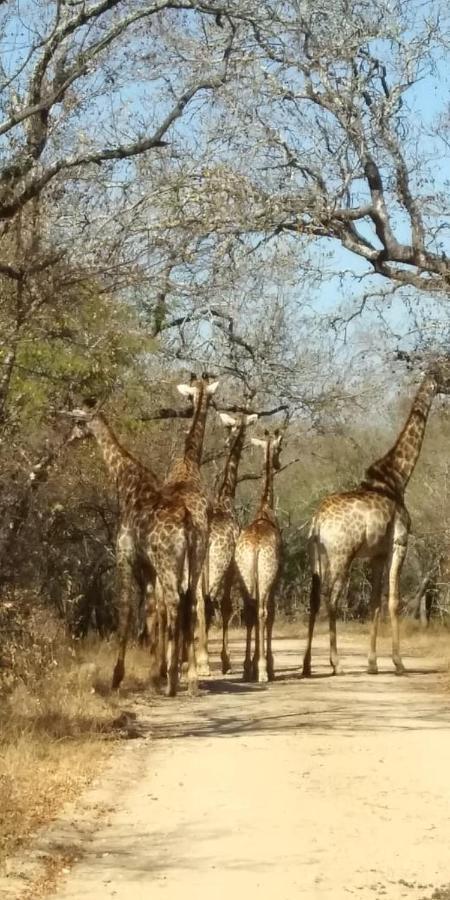 Njiri - Your Part Of Africa *