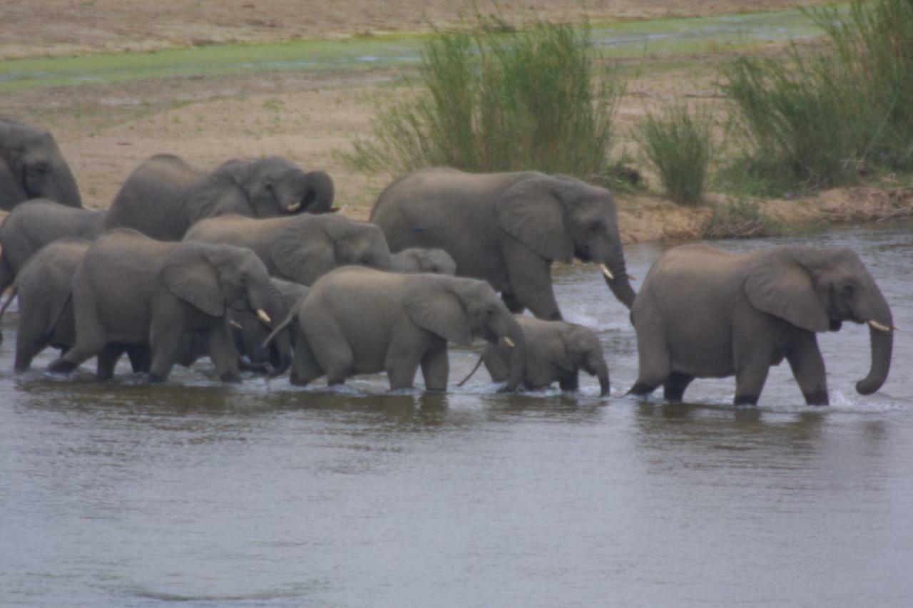 Ferienhaus Njiri - Your Part Of Africa *