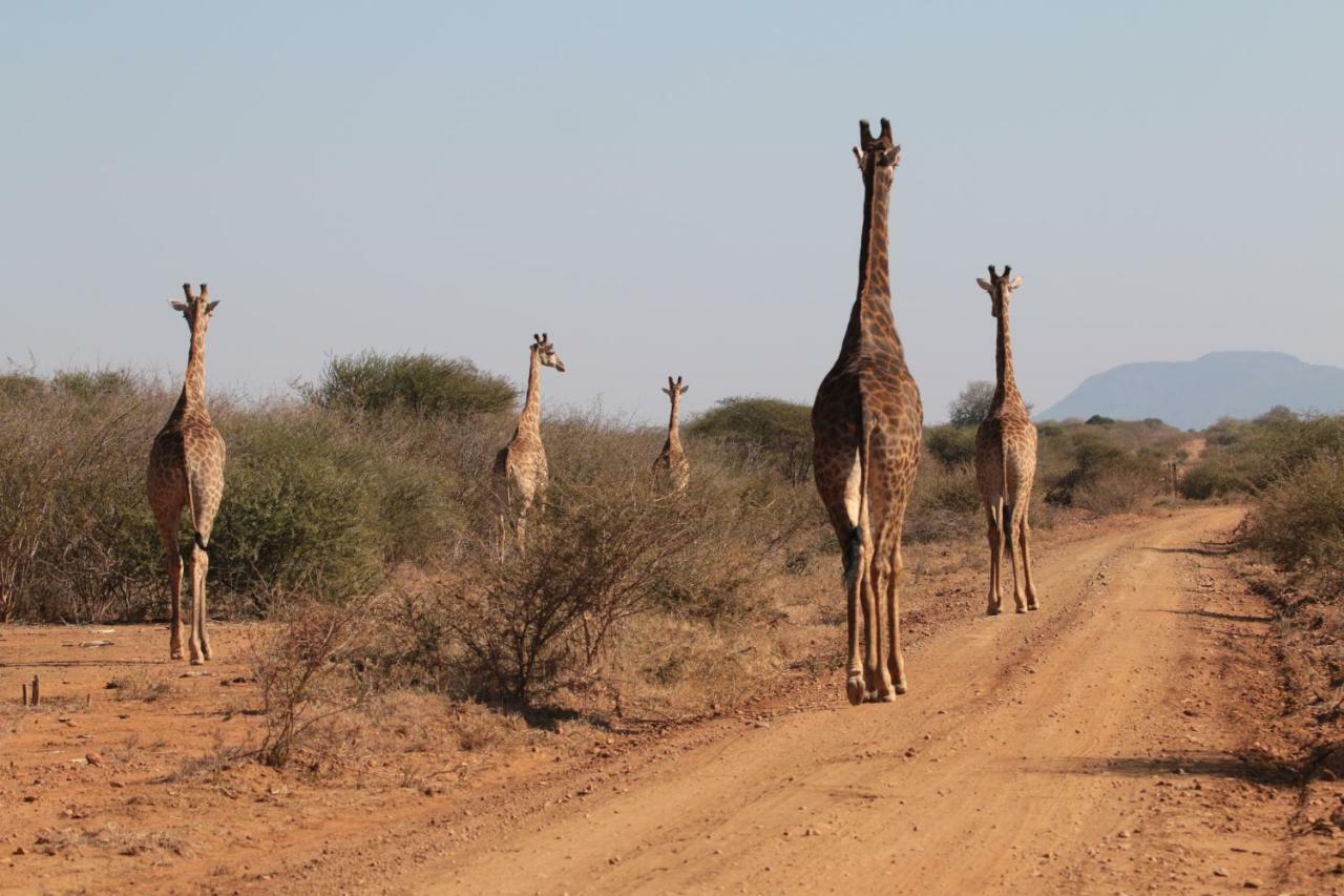 Njiri - Your Part Of Africa * Marloth Park